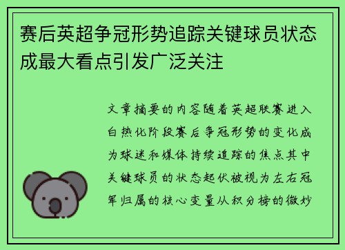 赛后英超争冠形势追踪关键球员状态成最大看点引发广泛关注 赛后英超争冠形势追踪关键球员状态成最大看点引发广泛关注